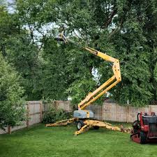 Best Artificial Turf Installation  in Miller, SD